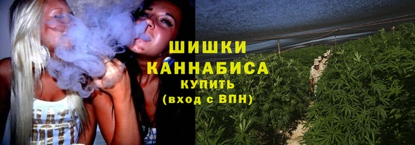 бутират Мегион