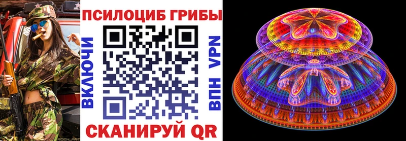 хочу наркоту  Комсомольск-на-Амуре  мега ссылка  Псилоцибиновые грибы Psilocybe 